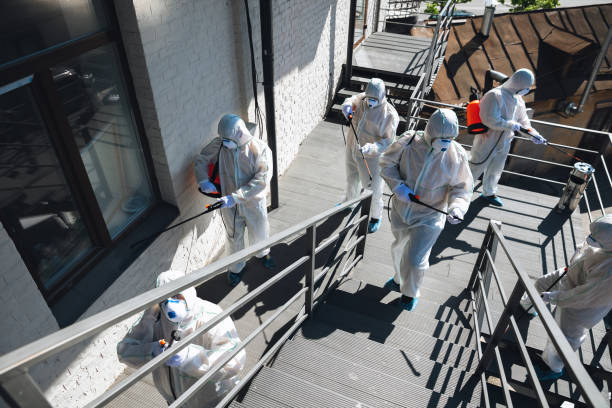 Best Biohazard Mold Removal  in Middletown, KY