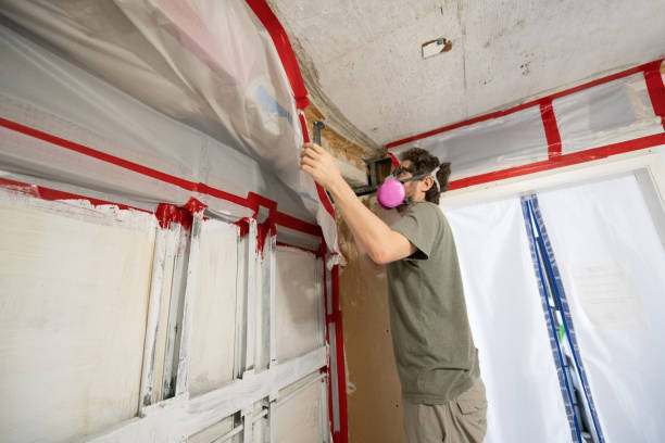 Mold Remediation for Vacation Homes in Middletown, KY