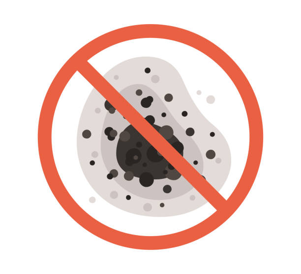 Best Mold Odor Removal Services  in Middletown, KY