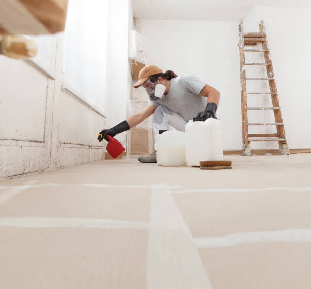 Best Attic Mold Removal  in Middletown, KY